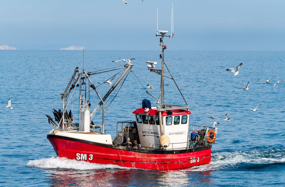 Fiskefartøy  ryggraden i norsk kystnæring